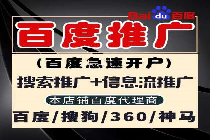 SEM代理实战：成功案例分享与经验总结